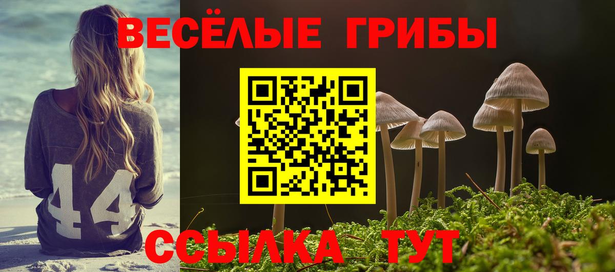 Галлюциногенные грибы прущие грибы  Вход с VPN  где продают   Галлюциногенные грибы Cubensis  Красный Сулин 