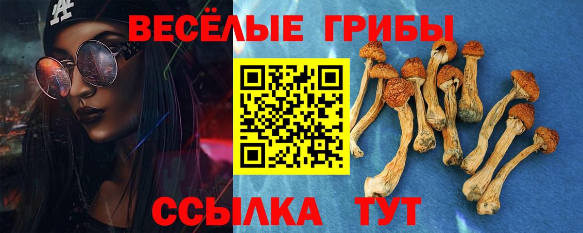 Галлюциногенные грибы мухоморы Красный Сулин